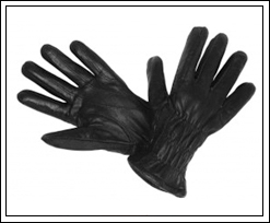 Bit-n-Bridle_Gift_Card